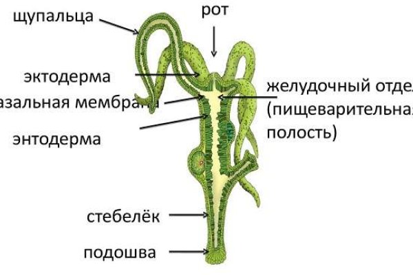 Где найти ссылку кракен