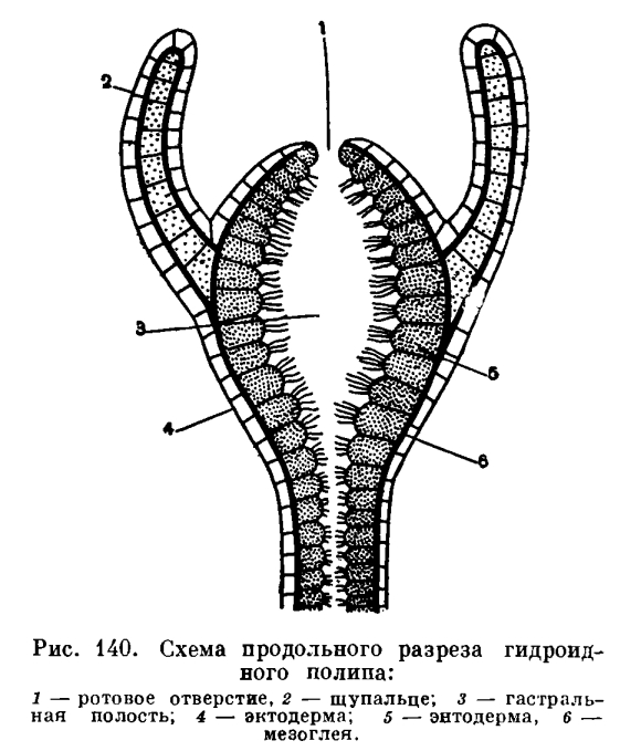 Кракен ат сайт